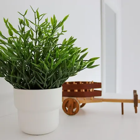 Casal Do Crego O Grove