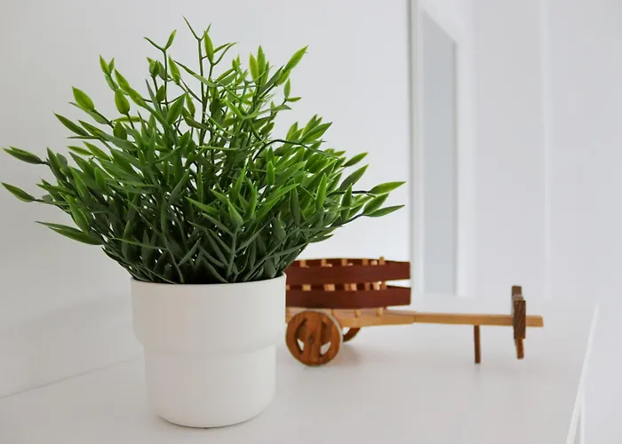 Casal Do Crego O Grove